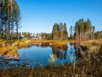 Domaine Park Allgäu