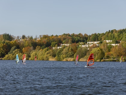 Domaine Park Bostalsee