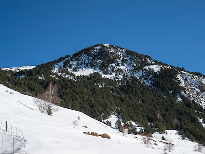 Apartamentos La Merceria