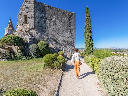Resort Pont Royal en Provence