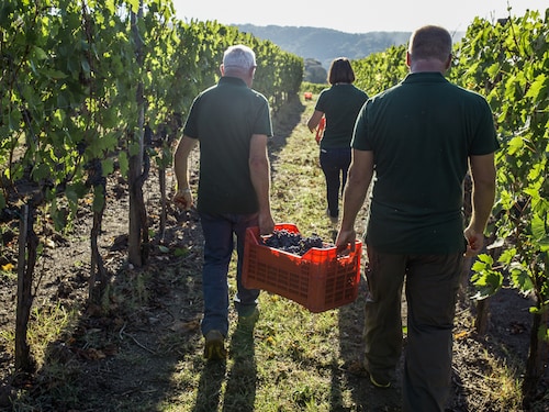 Premium residentie Torre A Cona Farmhouses