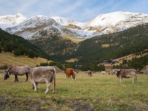 Residentie La Merceria