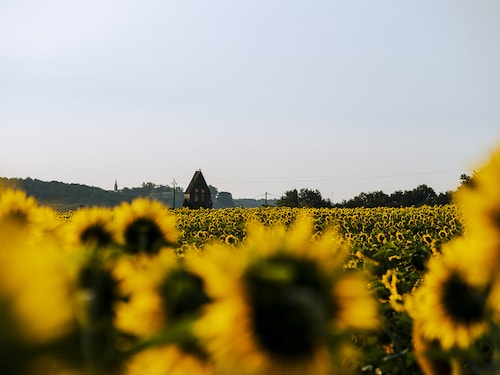 Nouvelle-Aquitaine