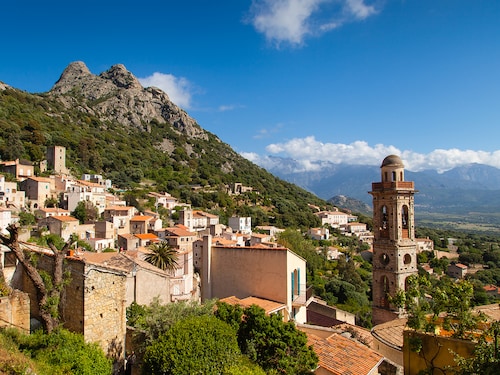 Corse