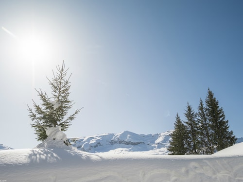 Serre-Chevalier - Valley