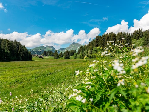 Praz-De-Lys - Sommand