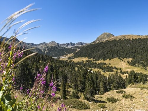 Pyrénées Andorre