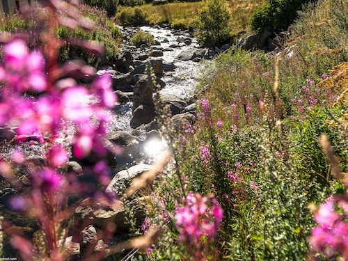 Les Carroz-d'Arâches