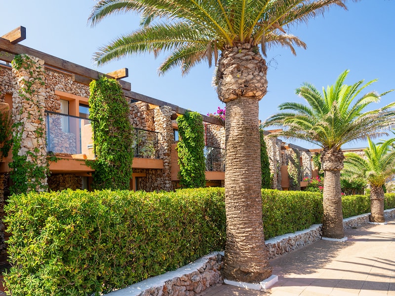 Foto - Hotel Menorca Binibeca - Adults Recommended - by Pierre & Vacances Premium