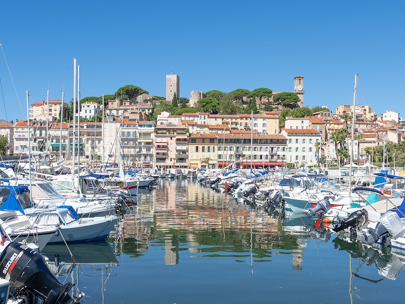 Photo - Résidence La Palme d'Azur Cannes Verrerie