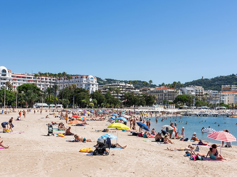 Photo - Résidence La Palme d'Azur Cannes Verrerie