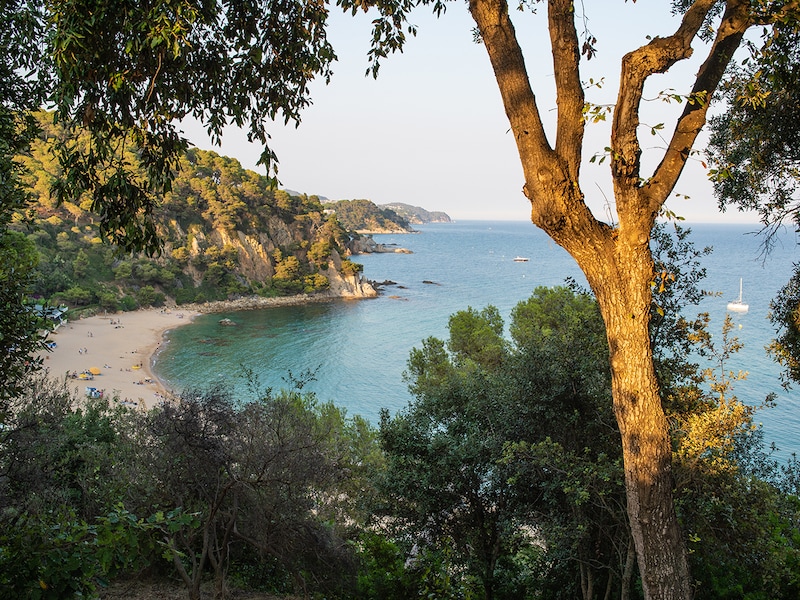 Photo - Hotel Lloret Santa Rosa by Pierre & Vacances