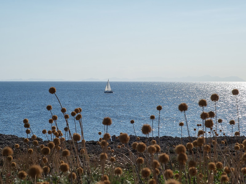 Foto - Pierre & Vacances Menorca Cala Blanes