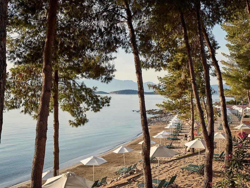 Foto - Candia Park Village