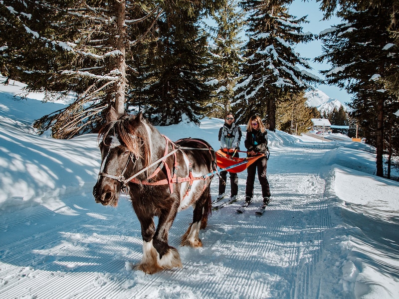 Foto - Résidence Pierre & Vacances Premium L'Amara