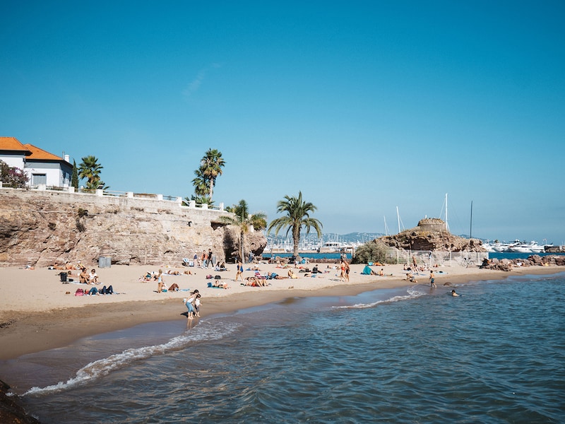 Photo - Résidence La Palme d'Azur Cannes Verrerie