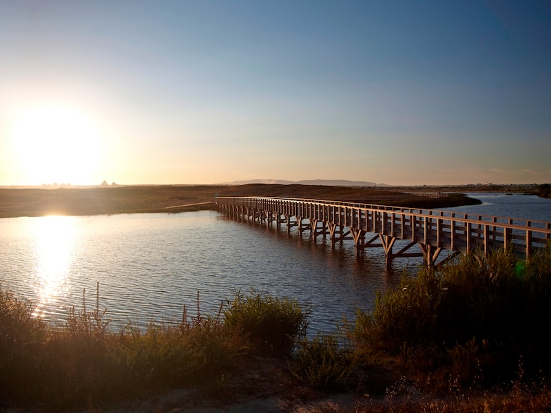 Foto - Wine & Books by the Sea, Algarve Resort