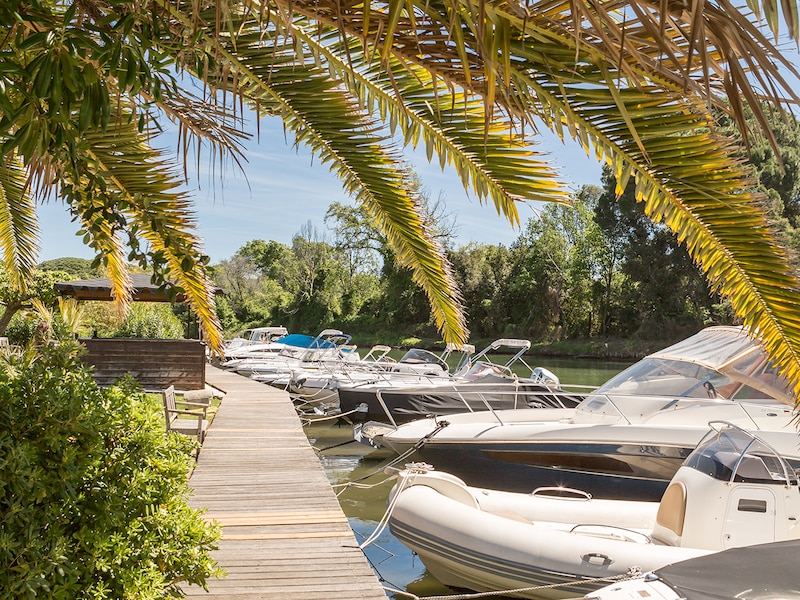 Foto - Résidence Pierre & Vacances Les Rives de Cannes Mandelieu