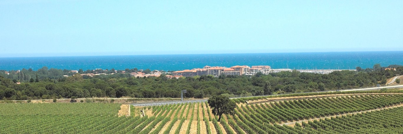 Panoramisch uitzicht Argelès-sur-Mer