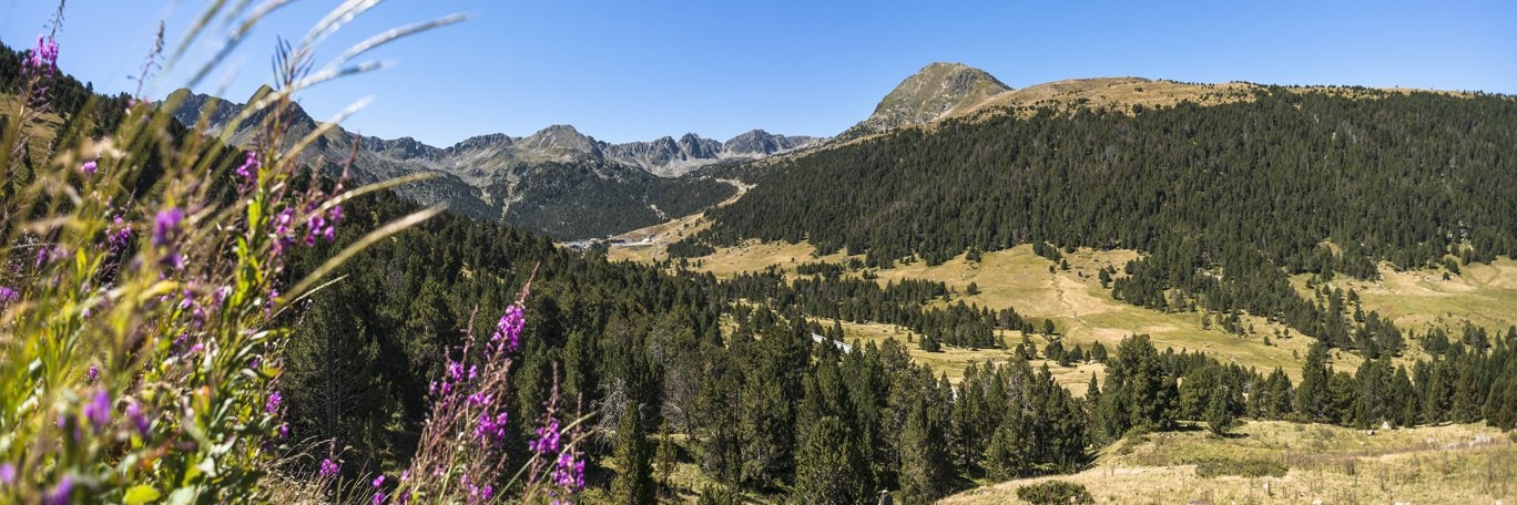 Los Pirineos Andorra
