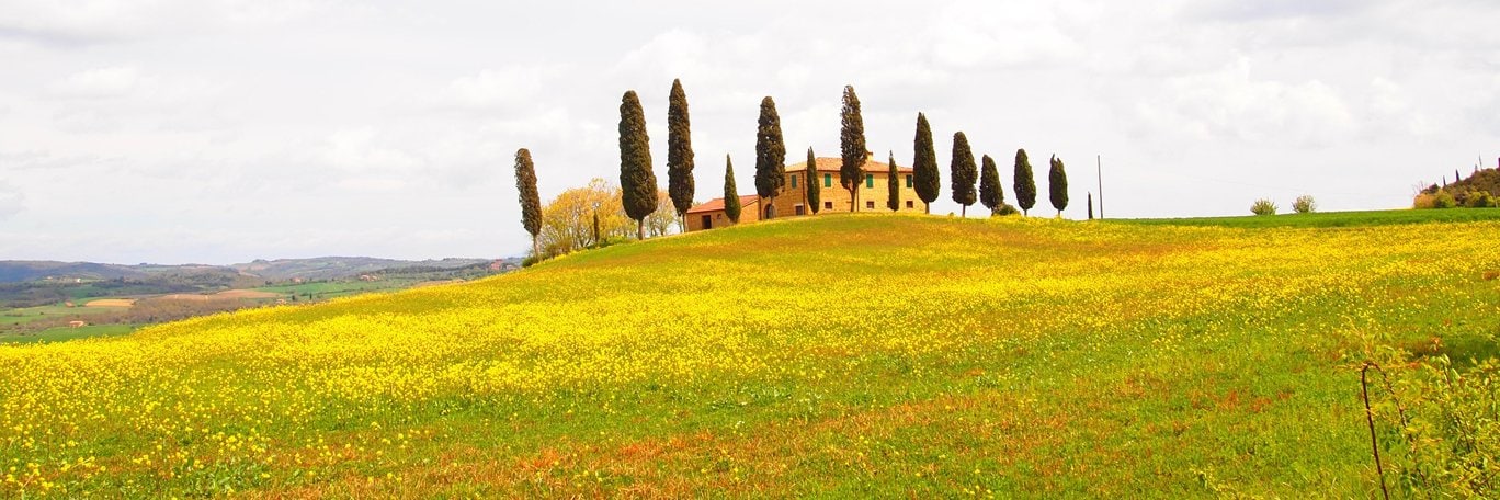 Panoramisch uitzicht Magliano in Toscana