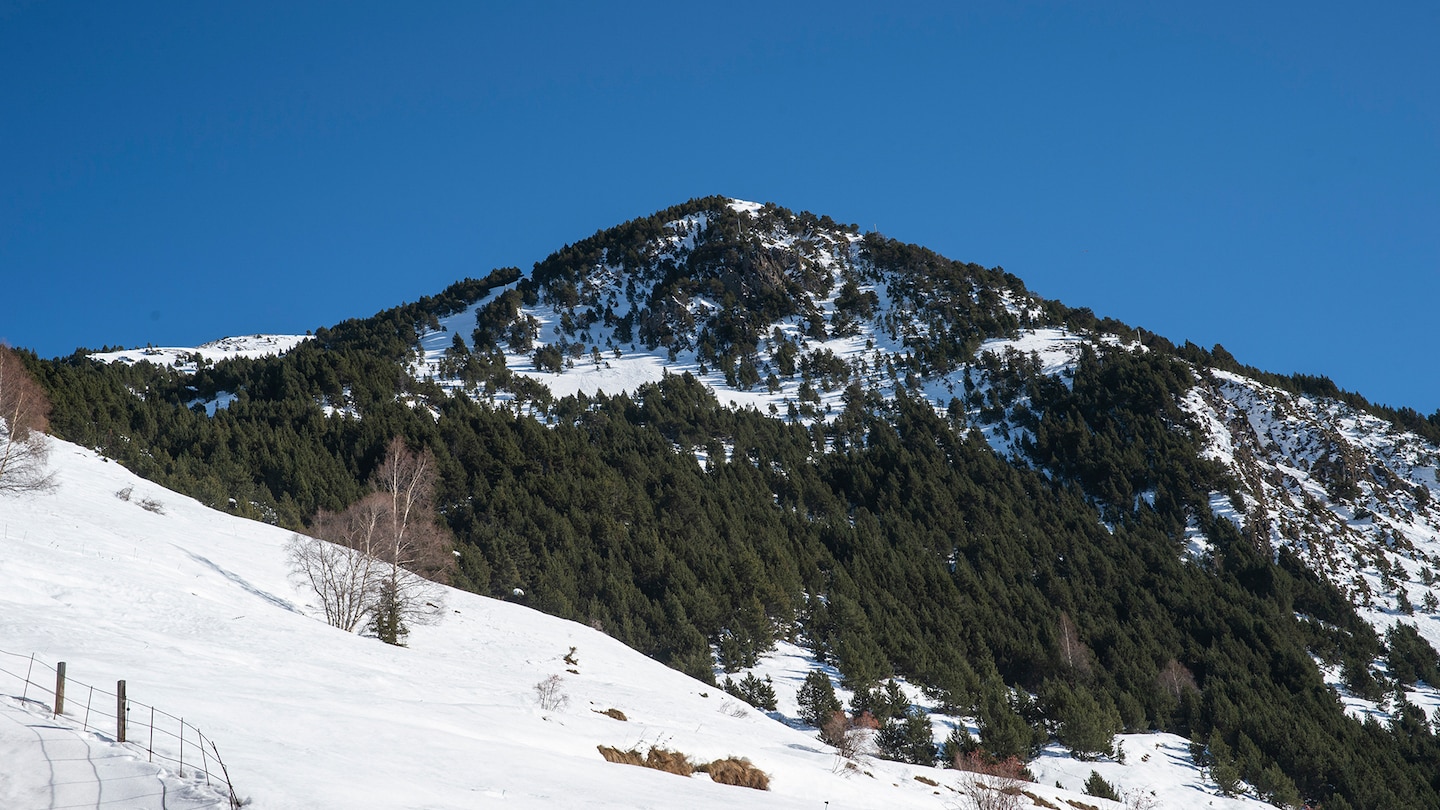 Residence La Merceria